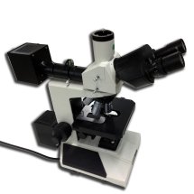 microscopio-platina microscopio-platina